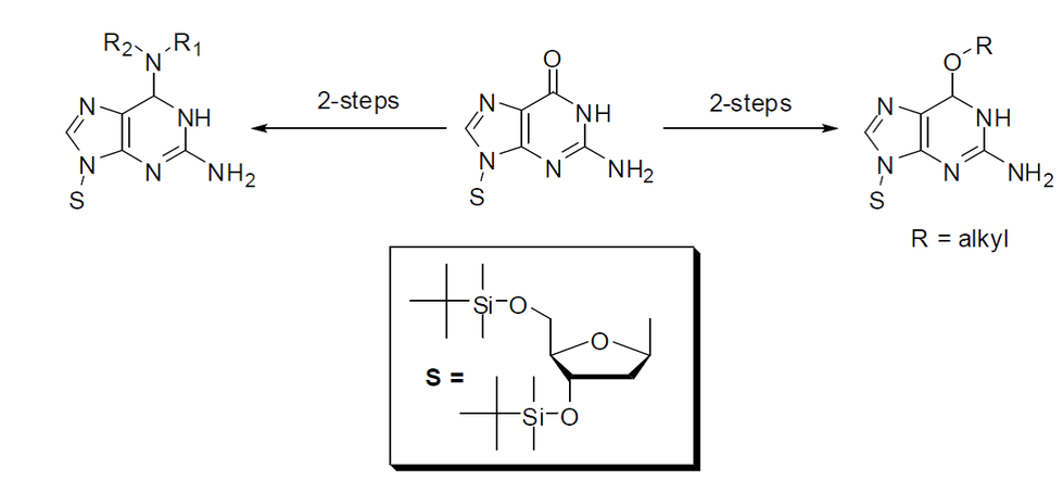 The conversion of 3,5-bis-O-TBDMS derivative of 2-deoxyguanosine to its O6-alkyl and O6-aryl ethers as well as to N6-substituted diaminopurine nucleosides in two simple steps
